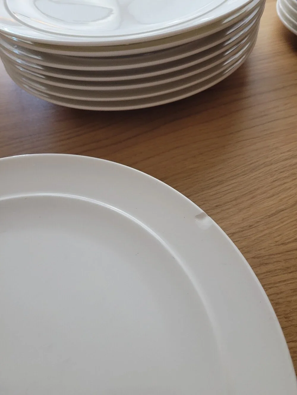 CRATE & BARREL Halo bone china dinner plates set